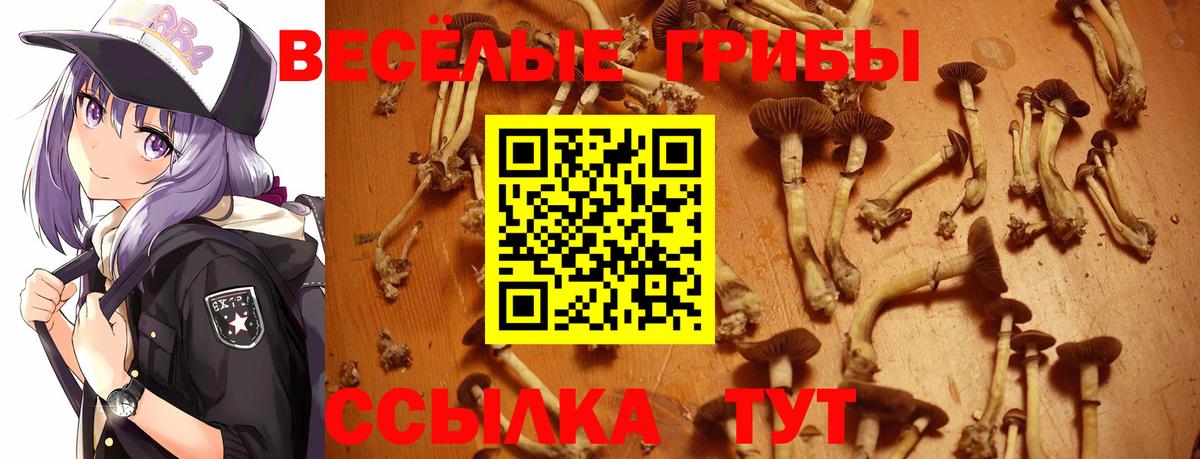 Галлюциногенные грибы ЛСД Мегион